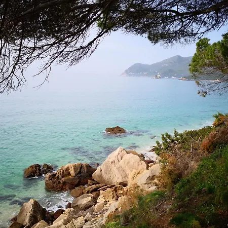 Pérola Do Ar - Estúdio No Coração De * Setúbal